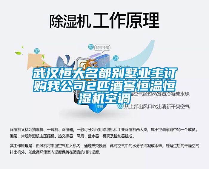武漢恒大名都別墅業主訂購我公司2匹酒窖恒溫恒濕機空調