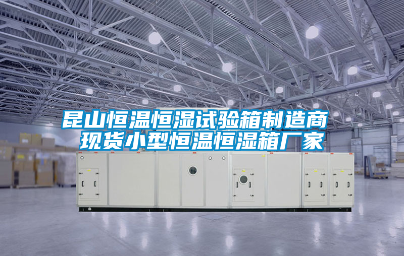 昆山恒溫恒濕試驗箱制造商 現貨小型恒溫恒濕箱廠家