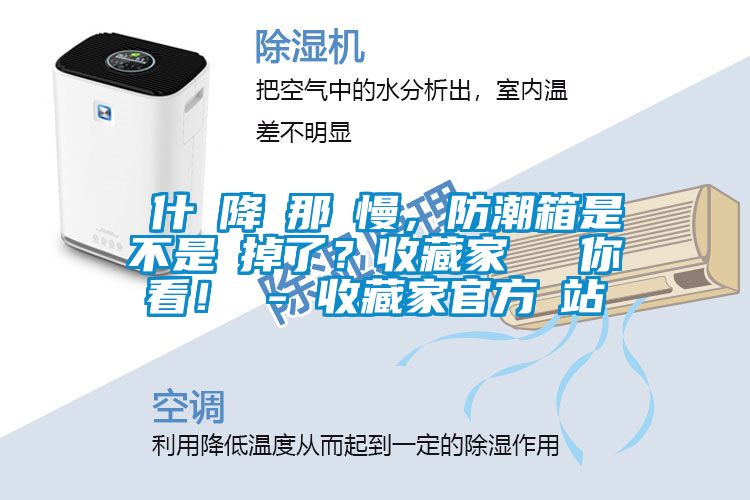 為什麼降濕那麼慢，防潮箱是不是壞掉了？收藏家實測給你看！ - 收藏家官方網站