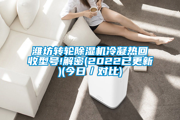 濰坊轉輪除濕機冷凝熱回收型號!解密(2022已更新)(今日/對比)