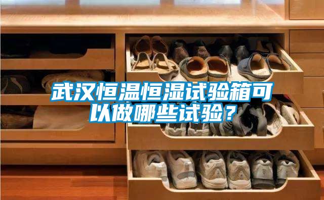 武漢恒溫恒濕試驗箱可以做哪些試驗？