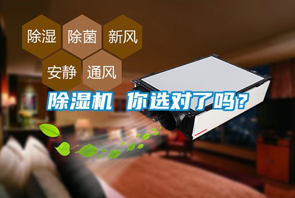 除濕機 你選對了嗎？