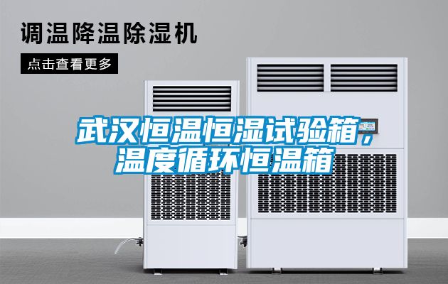 武漢恒溫恒濕試驗箱，溫度循環恒溫箱