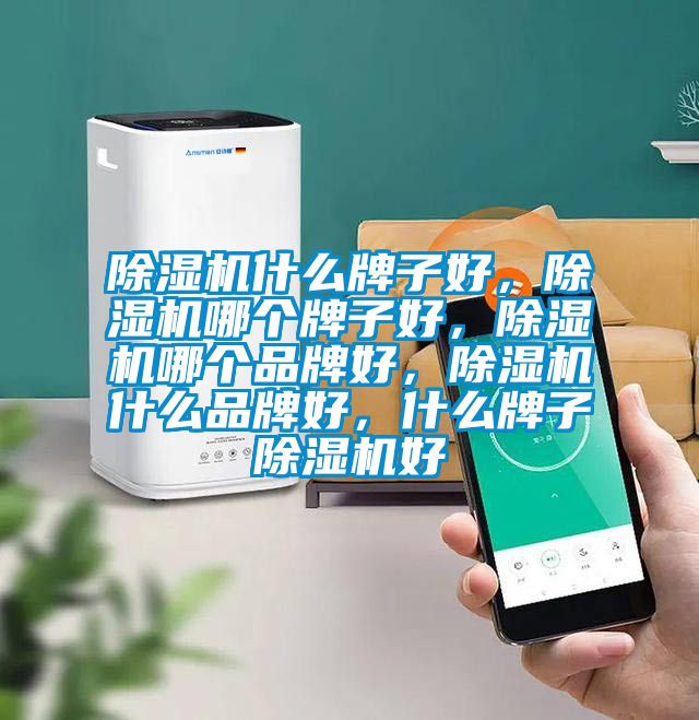 除濕機什么牌子好，除濕機哪個牌子好，除濕機哪個品牌好，除濕機什么品牌好，什么牌子除濕機好