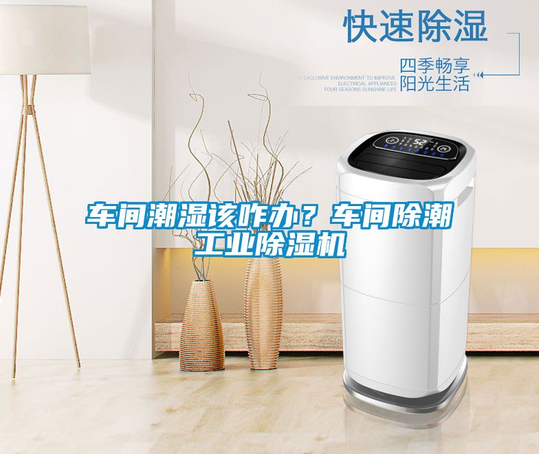 車間潮濕該咋辦？車間除潮工業(yè)除濕機(jī)