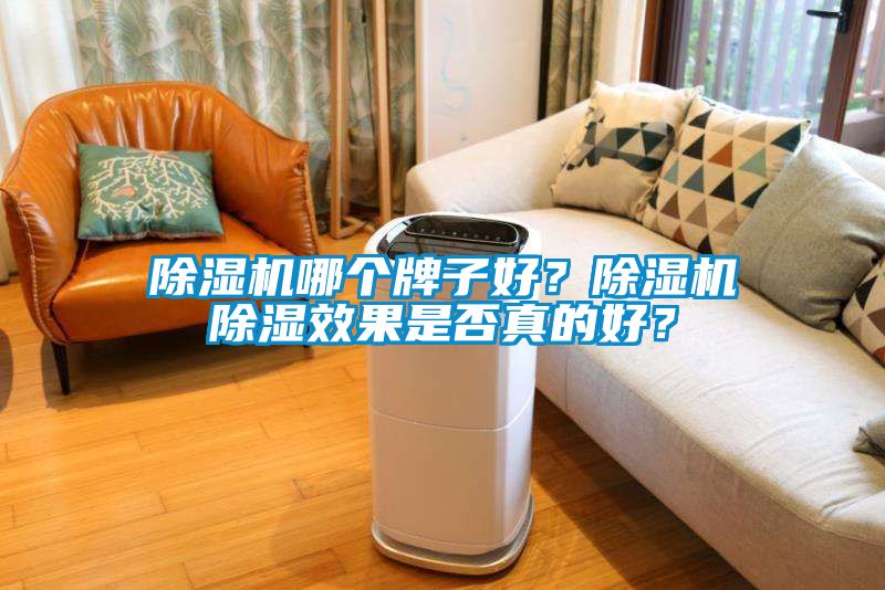 除濕機(jī)哪個牌子好？除濕機(jī)除濕效果是否真的好？