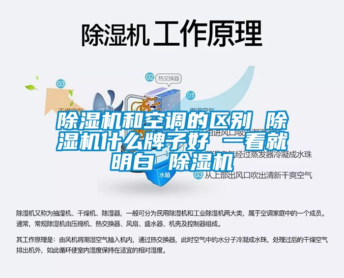 除濕機和空調的區別 除濕機什么牌子好 一看就明白 除濕機