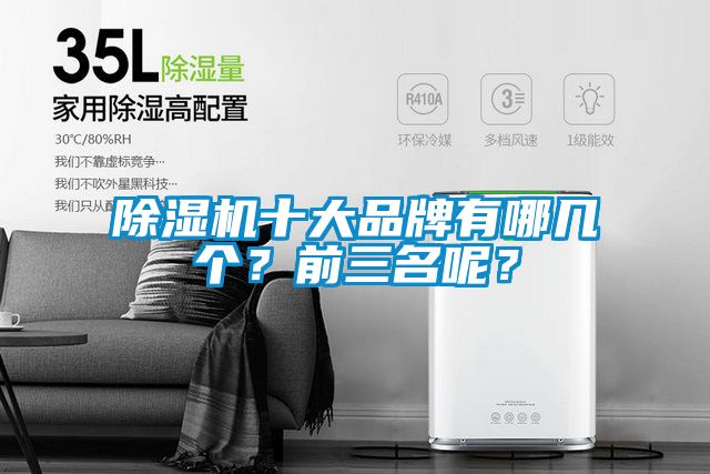 除濕機十大品牌有哪幾個？前三名呢？