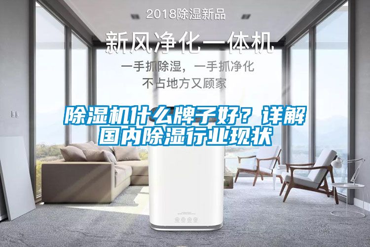 除濕機什么牌子好？詳解國內除濕行業現狀