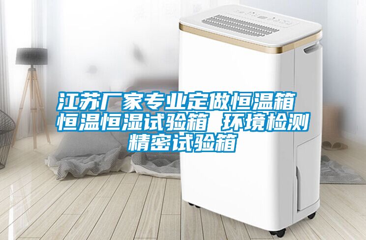 江蘇廠家專業定做恒溫箱 恒溫恒濕試驗箱 環境檢測精密試驗箱