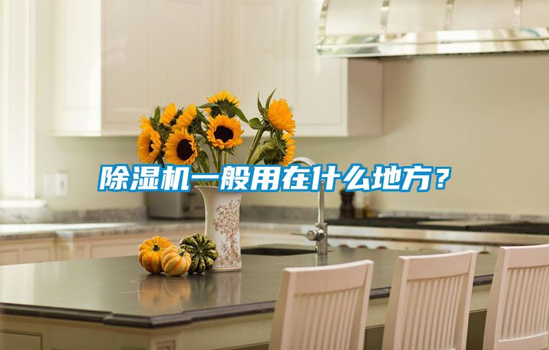 除濕機一般用在什么地方？
