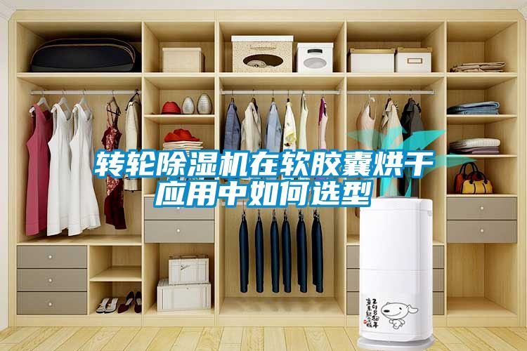 轉(zhuǎn)輪除濕機在軟膠囊烘干應(yīng)用中如何選型
