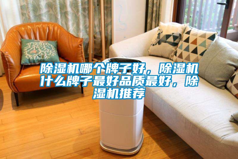 除濕機哪個牌子好，除濕機什么牌子最好品質最好，除濕機推薦