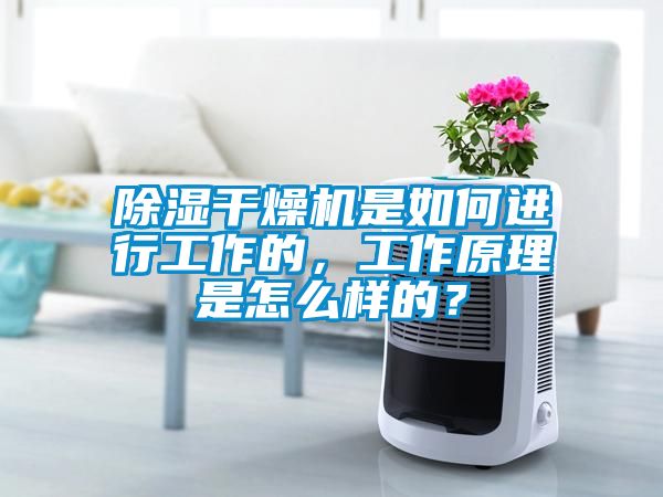除濕干燥機是如何進行工作的，工作原理是怎么樣的？