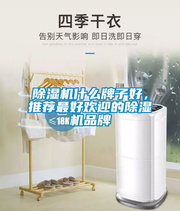 除濕機(jī)什么牌子好，推薦最好歡迎的除濕機(jī)品牌