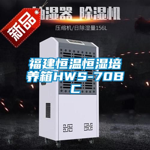 福建恒溫恒濕培養箱HWS-70BC