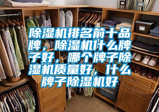 除濕機排名前十品牌，除濕機什么牌子好，哪個牌子除濕機質量好，什么牌子除濕機好