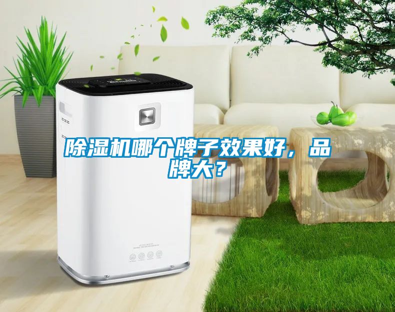 除濕機哪個牌子效果好，品牌大？