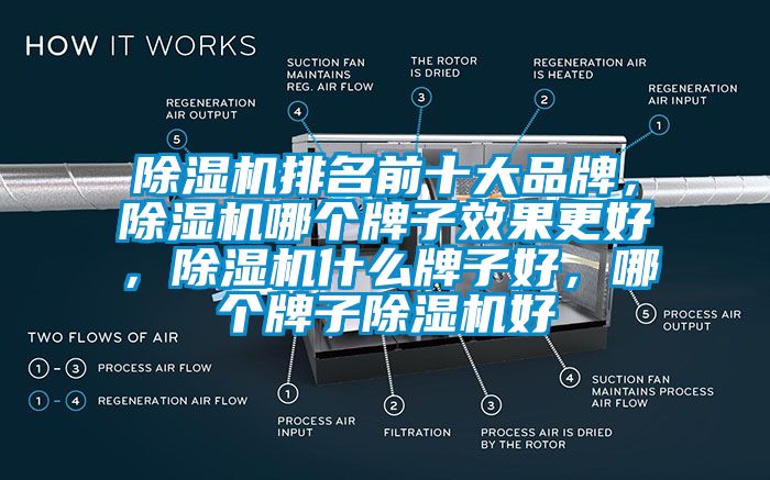 除濕機(jī)排名前十大品牌，除濕機(jī)哪個(gè)牌子效果更好，除濕機(jī)什么牌子好，哪個(gè)牌子除濕機(jī)好