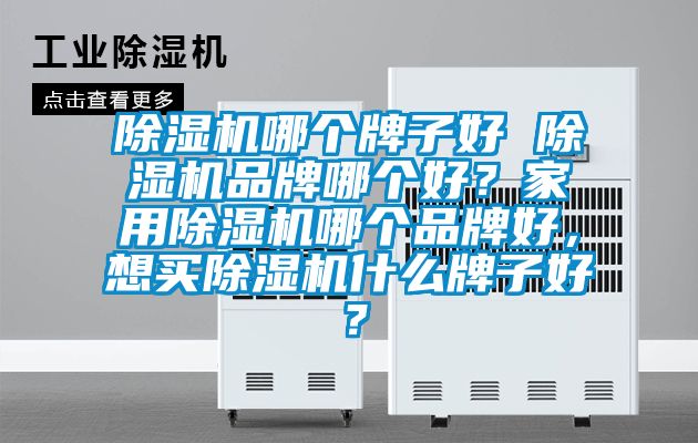 除濕機哪個牌子好 除濕機品牌哪個好？家用除濕機哪個品牌好，想買除濕機什么牌子好？