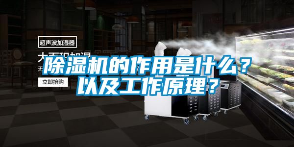 除濕機(jī)的作用是什么？以及工作原理？
