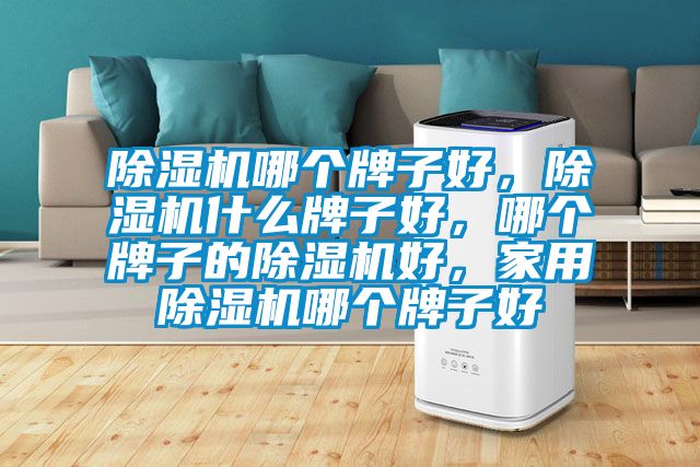 除濕機哪個牌子好，除濕機什么牌子好，哪個牌子的除濕機好，家用除濕機哪個牌子好
