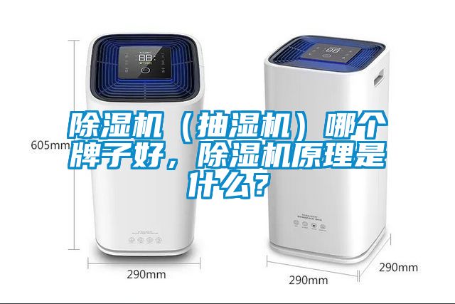 除濕機(jī)（抽濕機(jī)）哪個(gè)牌子好，除濕機(jī)原理是什么？