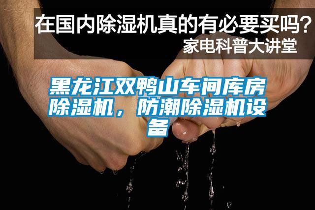 黑龍江雙鴨山車間庫房除濕機，防潮除濕機設備