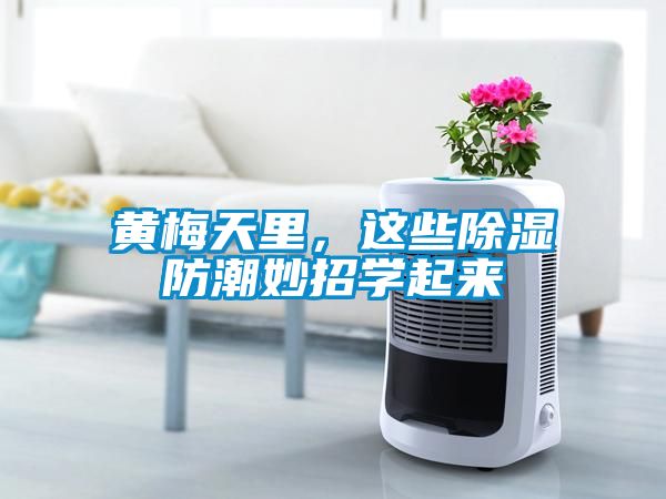 黃梅天里，這些除濕防潮妙招學起來