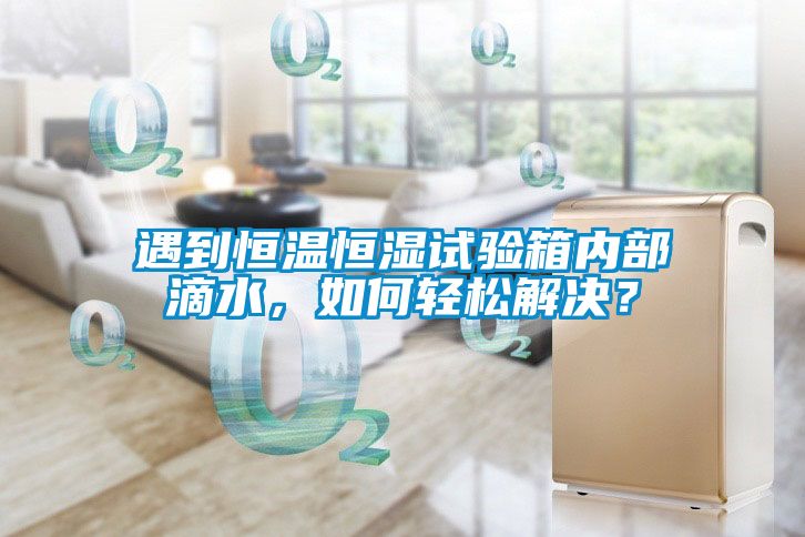 遇到恒溫恒濕試驗(yàn)箱內(nèi)部滴水，如何輕松解決？