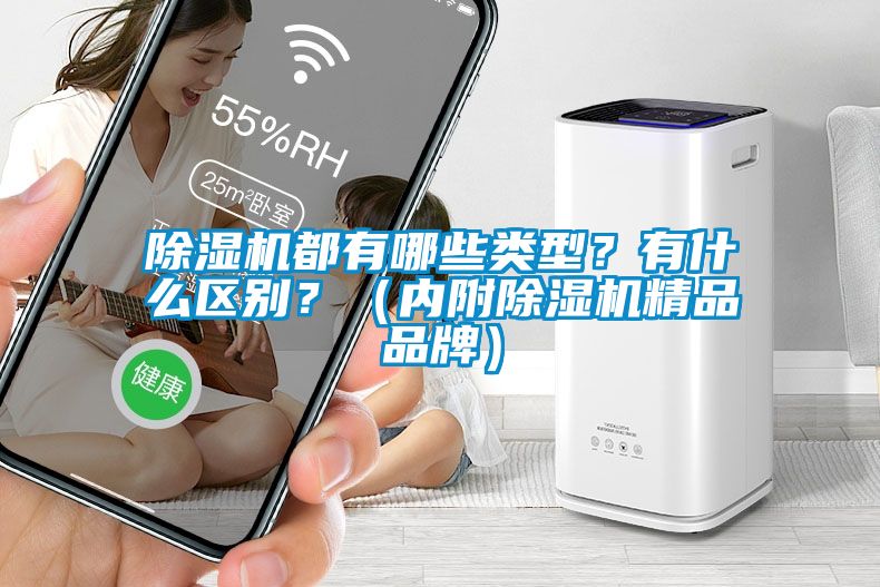 除濕機(jī)都有哪些類型？有什么區(qū)別？（內(nèi)附除濕機(jī)精品品牌）