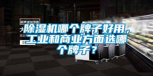 除濕機哪個牌子好用，工業和商業方面選哪個牌子？