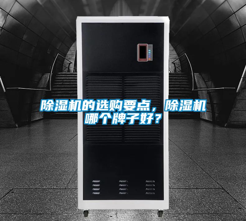 除濕機的選購要點，除濕機哪個牌子好？