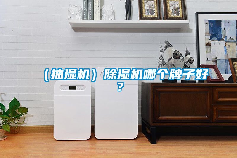 （抽濕機(jī)）除濕機(jī)哪個(gè)牌子好？