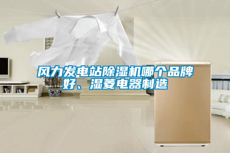 風力發電站除濕機哪個品牌好、濕菱電器制造